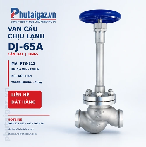 Van cầu chịu lạnh cán dài DJ-65A DN65