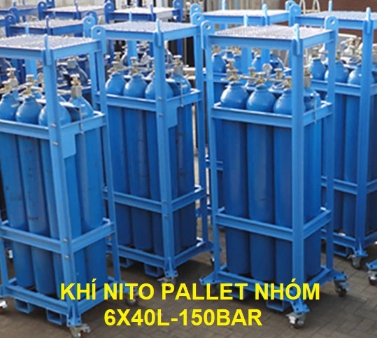 KHÍ NITO PALLET NHÓM 6X40L