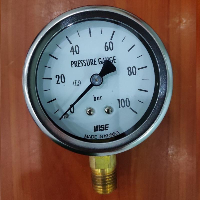 Đồng hồ áp suất Wise loại P254 D63mm ¼” NPT, giải đo 100bar